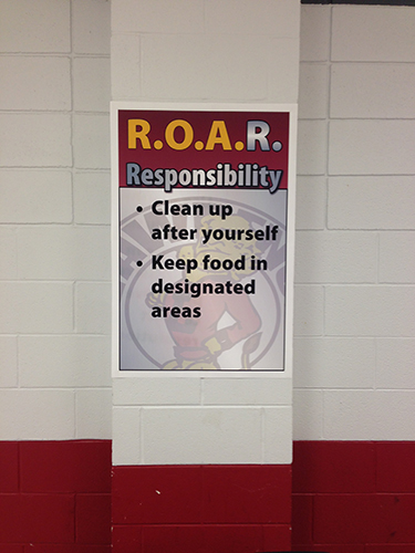 ROAR Responsibility examples