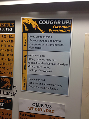 Cougar Expectation Matrix